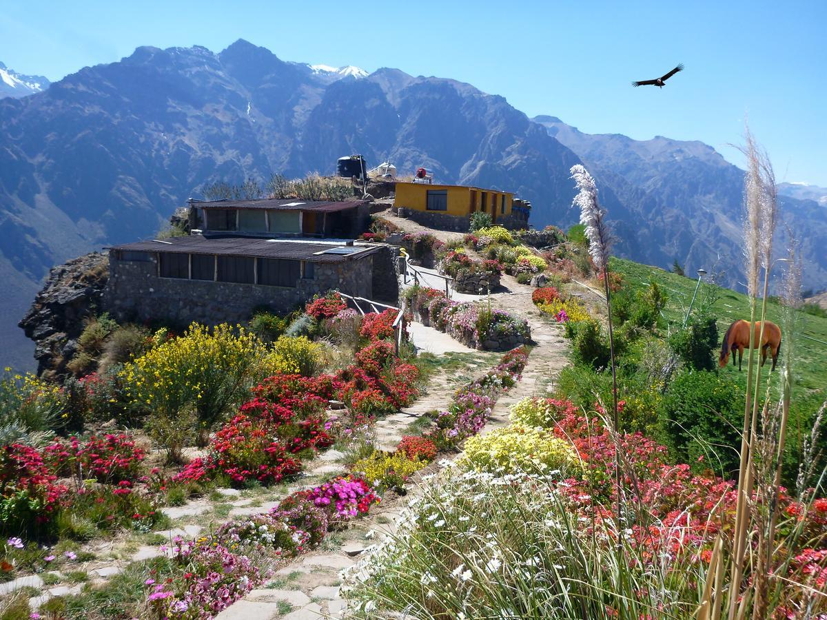 La Granja Del Colca Villa Cabanaconde Bagian luar foto