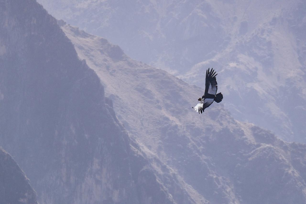 La Granja Del Colca Villa Cabanaconde Bagian luar foto