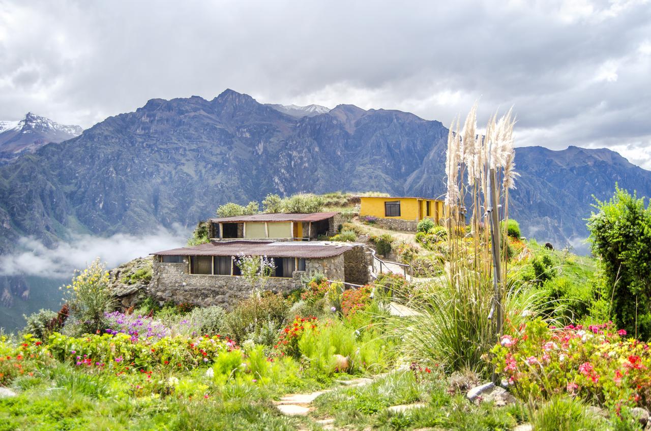 La Granja Del Colca Villa Cabanaconde Bagian luar foto